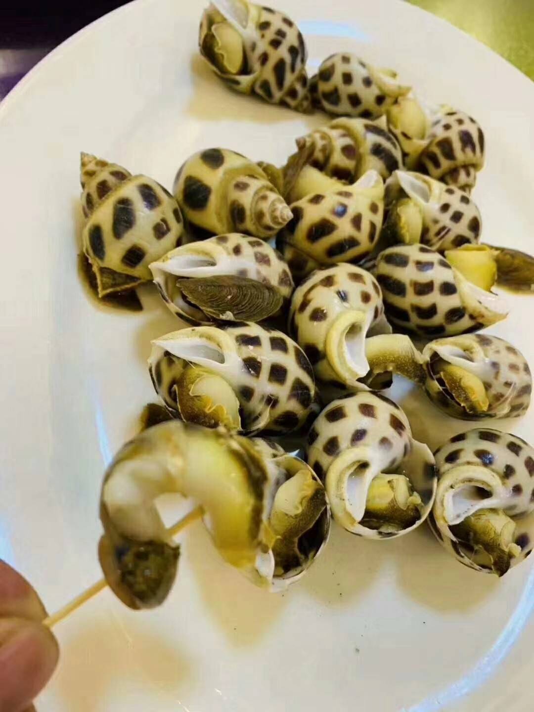 野生小香螺 白灼3-5分钟 即可吃